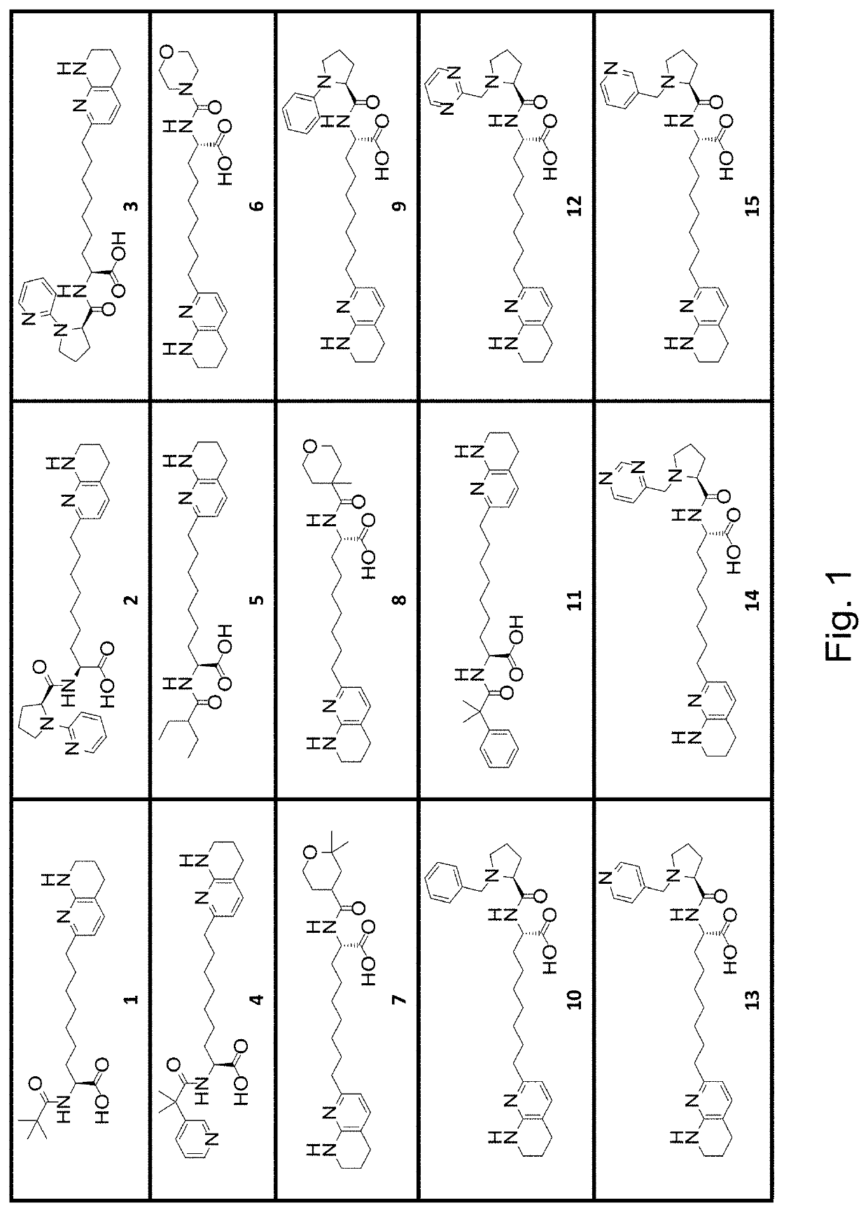 Amino acid compounds with unbranched linkers and methods of use