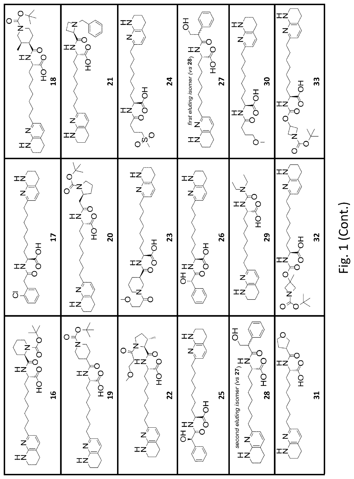 Amino acid compounds with unbranched linkers and methods of use