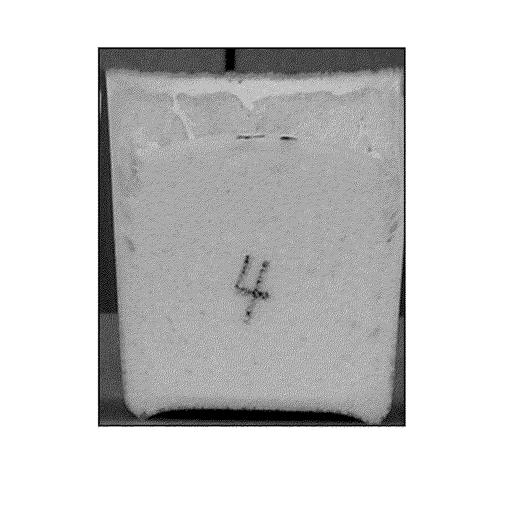 Antimicrobial bio polyurethane foam and method for manufacturing the same