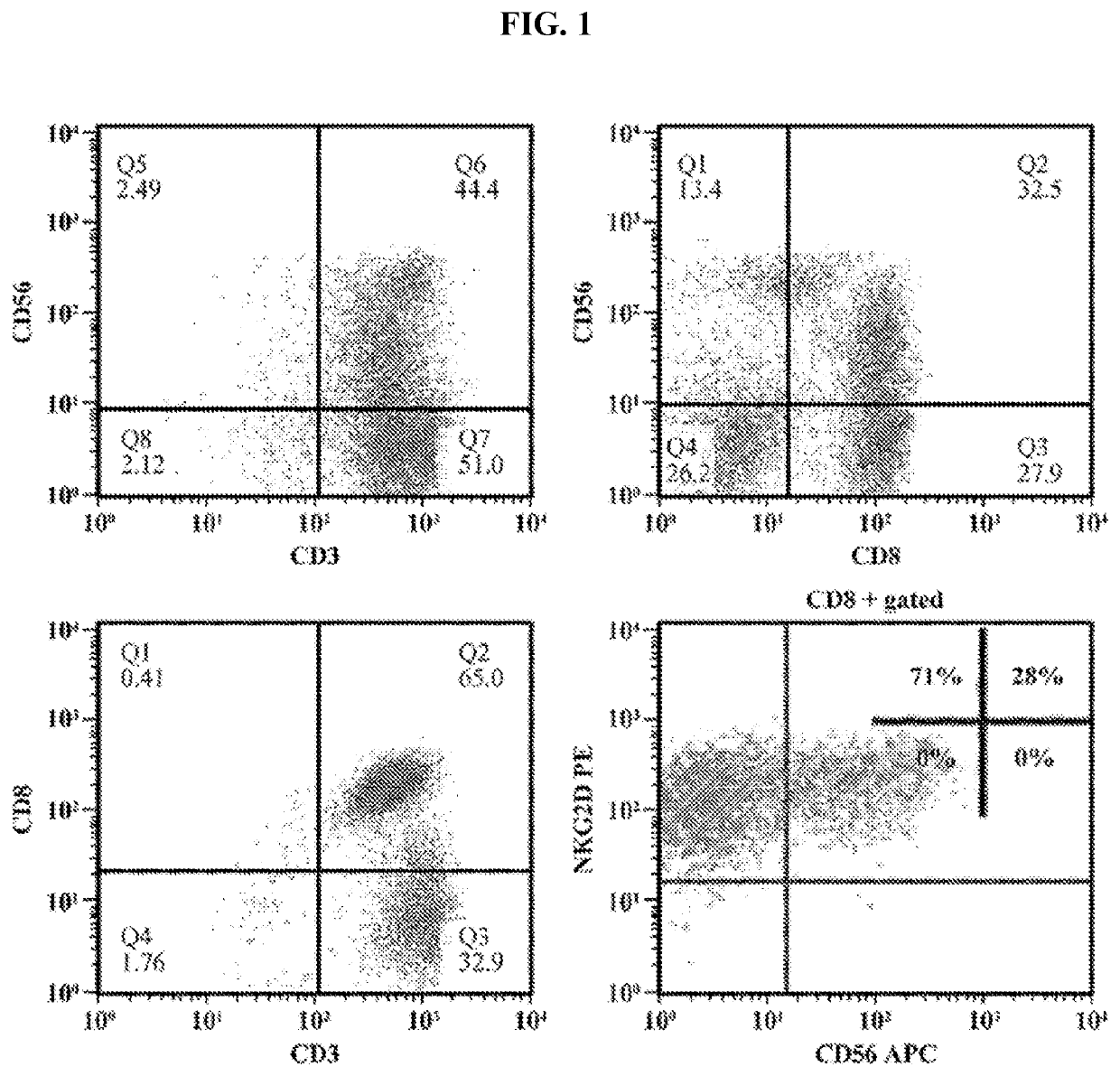Activated lymphocytes comprising cytokine-induced killer cells and preparation method therefor
