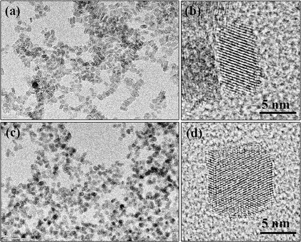 Water-soluble rare-earth terbium ion-doped cerium fluoride nanocrystallines and preparation method thereof