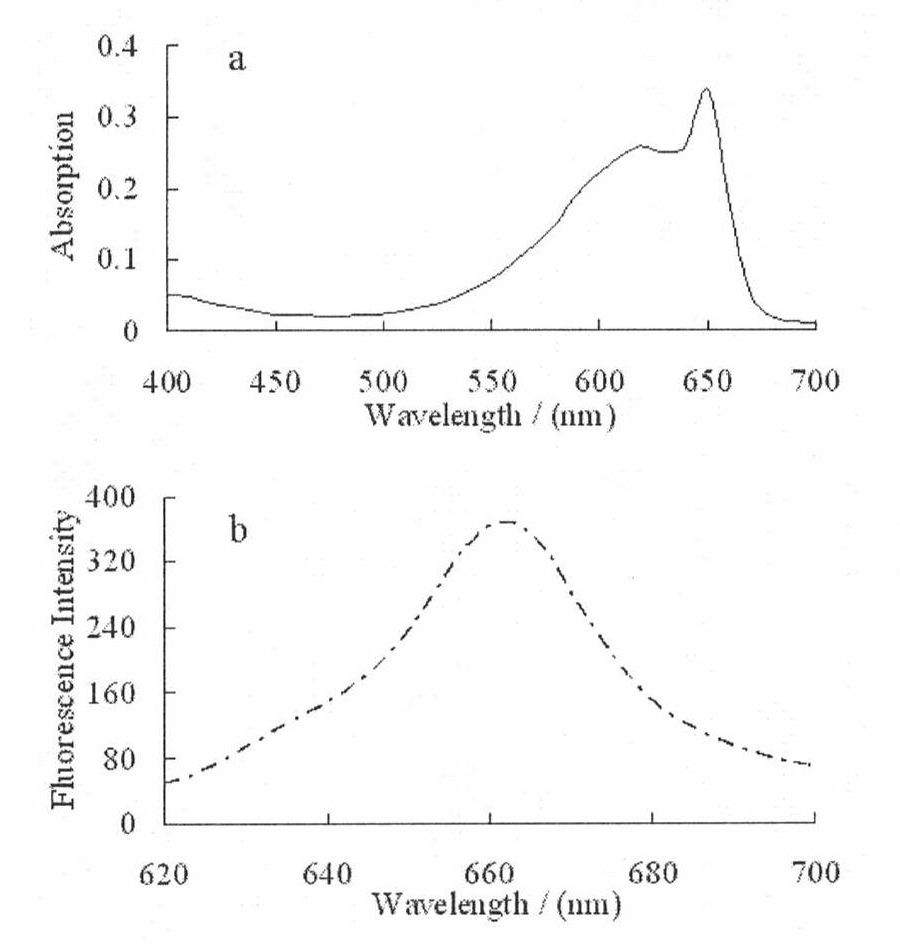 Method for preparing fluorescent magnetic nanoparticles with streptavidin combination function