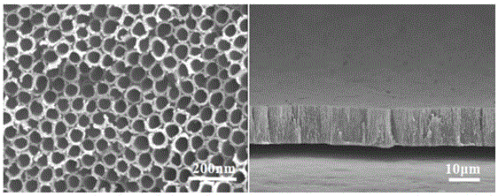Nanocrystalline metal oxide array with under-oil super-hydrophobicity and super-hydrophilicity reversible transition function and preparation method thereof