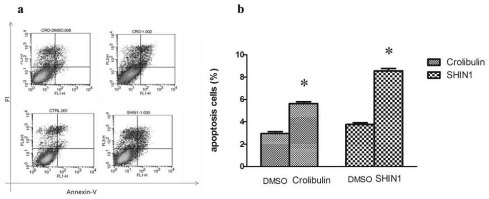 Application of SHMT2 inhibitor in preparation of drugs for inhibiting growth and metastasis of bladder cancer cells