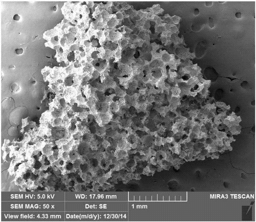 Porous biological ceramic scaffold and preparation method thereof