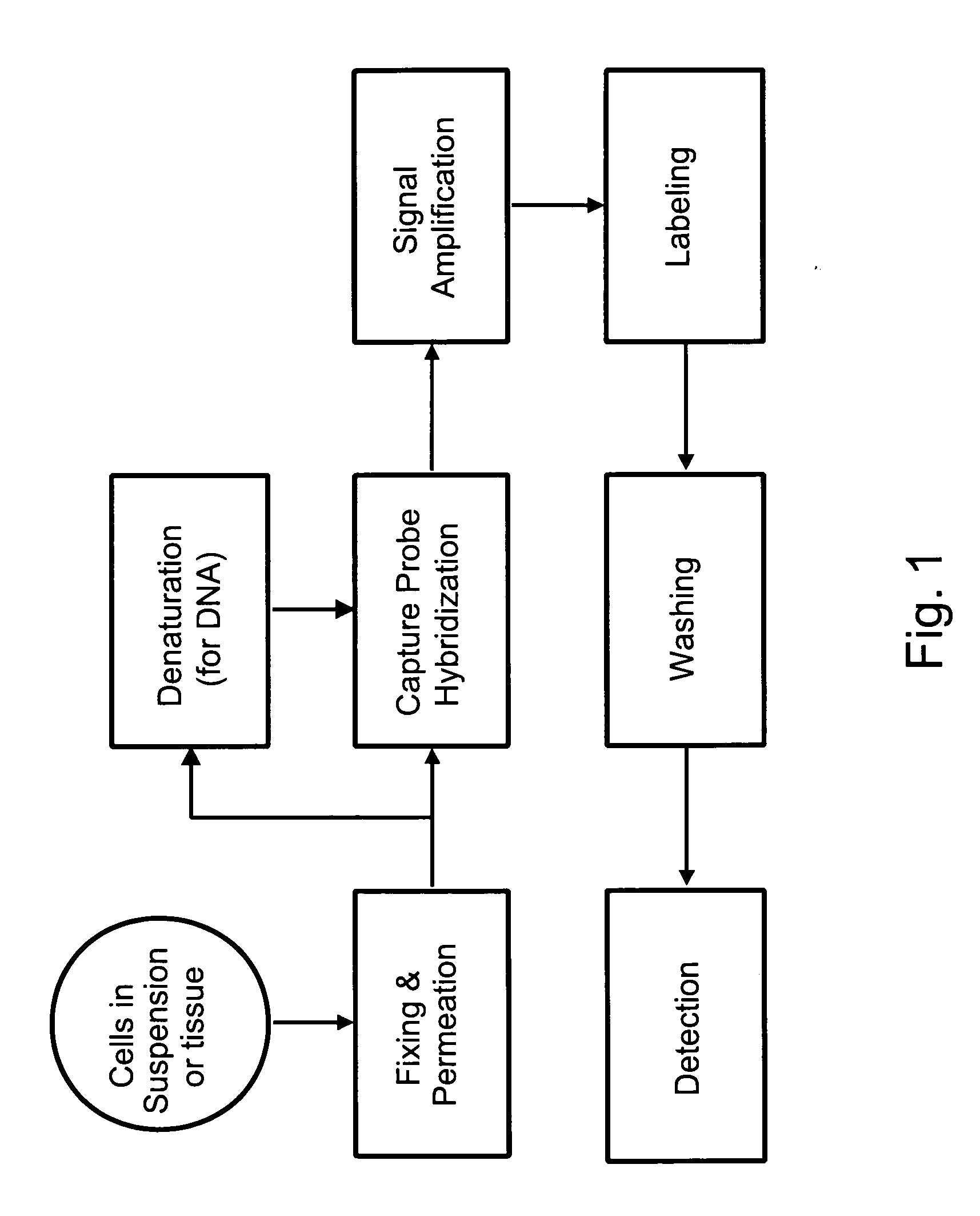 Methods of detecting nucleic acids in individual cells and of identifying rare cells from large heterogeneous cell populations