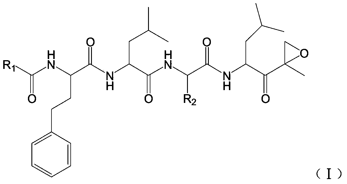 Polypeptide epoxy ketone compound