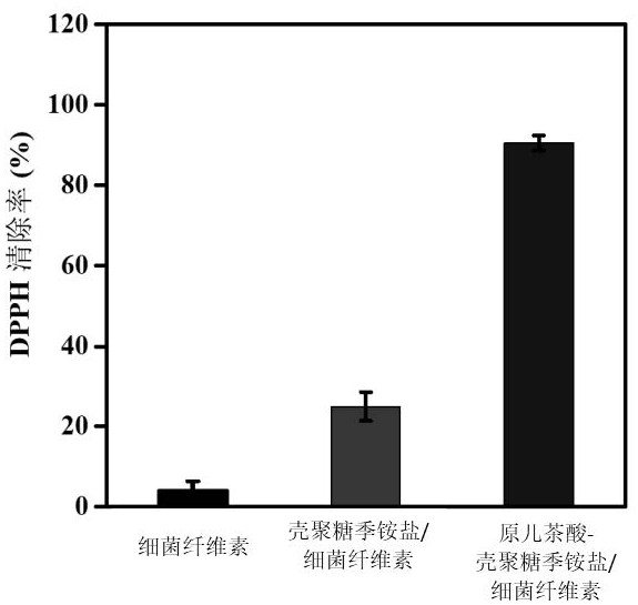 Traditional Chinese medicine ingredient modified multifunctional bacterial cellulose-based skin dressing and preparation method thereof