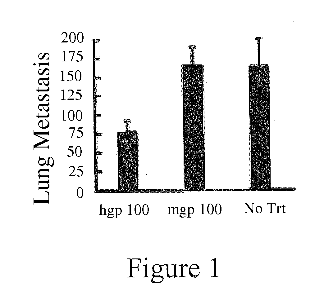 Method and Compositions for Stimulation of an Immune Response to gp100 using a Xenogeneic gp100 Antigen