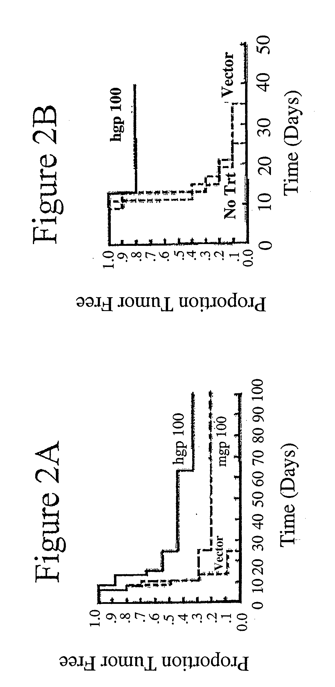 Method and Compositions for Stimulation of an Immune Response to gp100 using a Xenogeneic gp100 Antigen