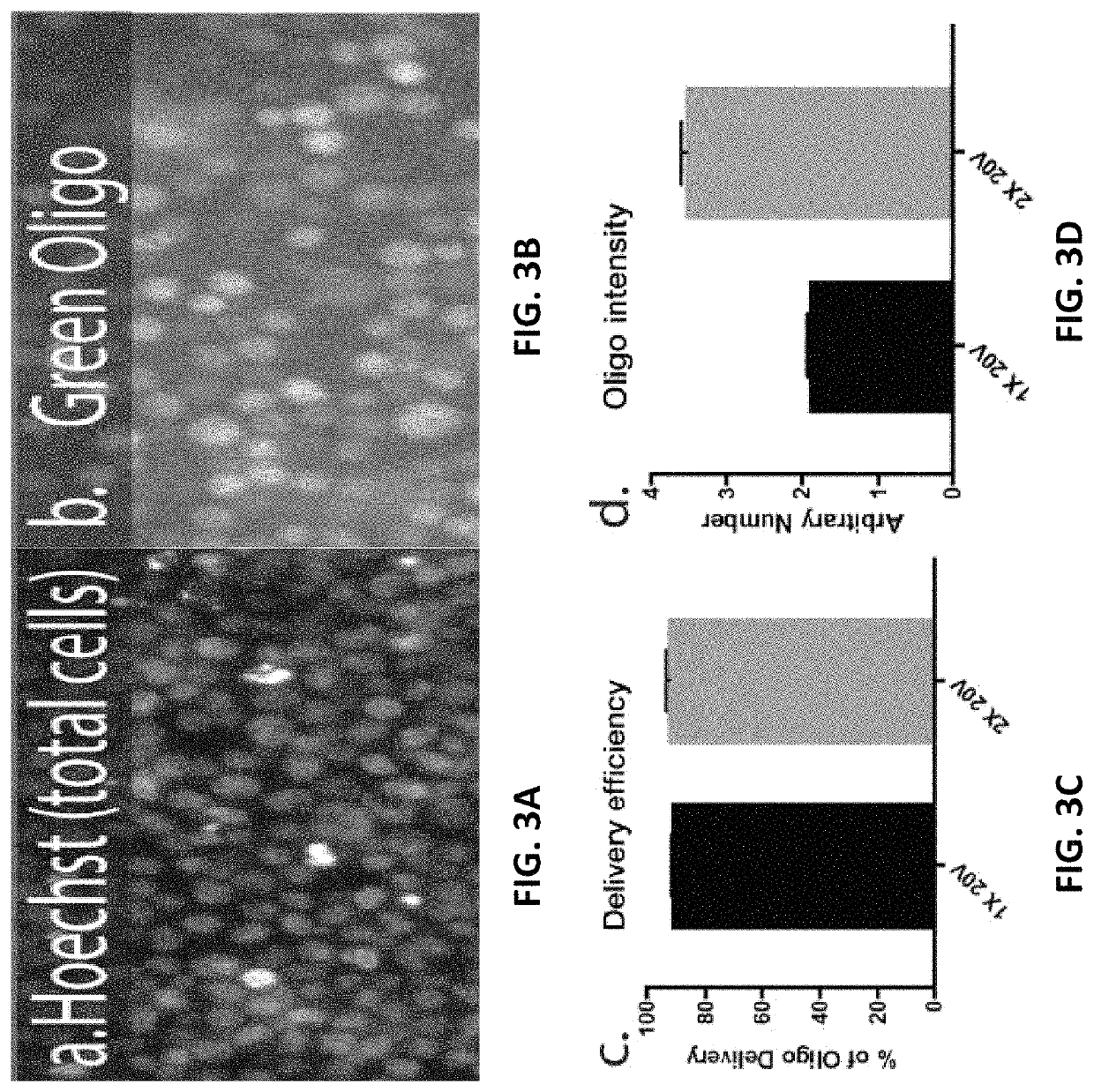 Apparatuses and methods using nanostraws to deliver biologically relevant cargo into non-adherent cells