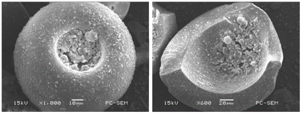 Hollow titanium dioxide microsphere based on gel sphere precursor and preparation method of hollow titanium dioxide microsphere