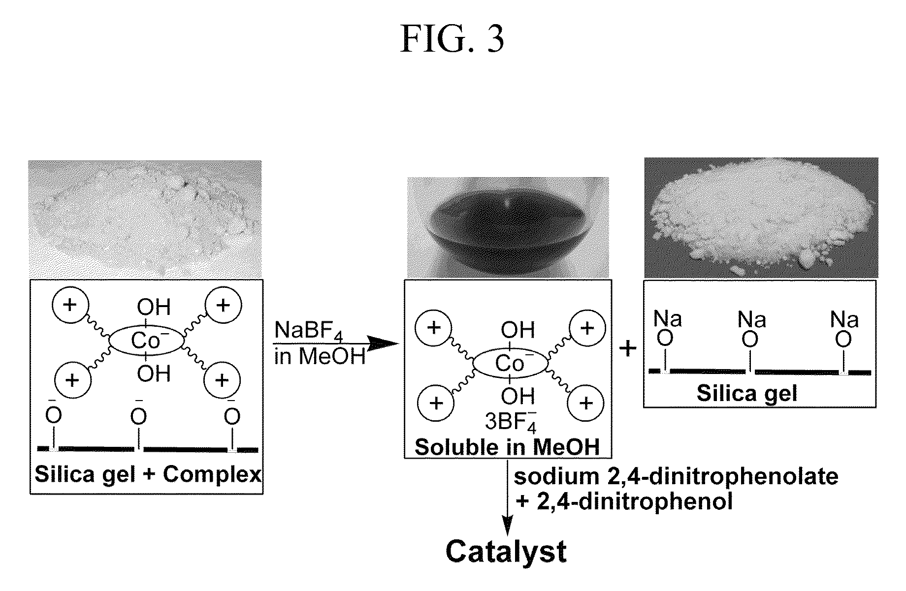 Process for producing polycarbonates and a coordination complex used therefor