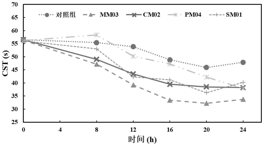 Biolysis sludge phagocytosis method for improving sludge dewatering reduction performance by using myxobacteria