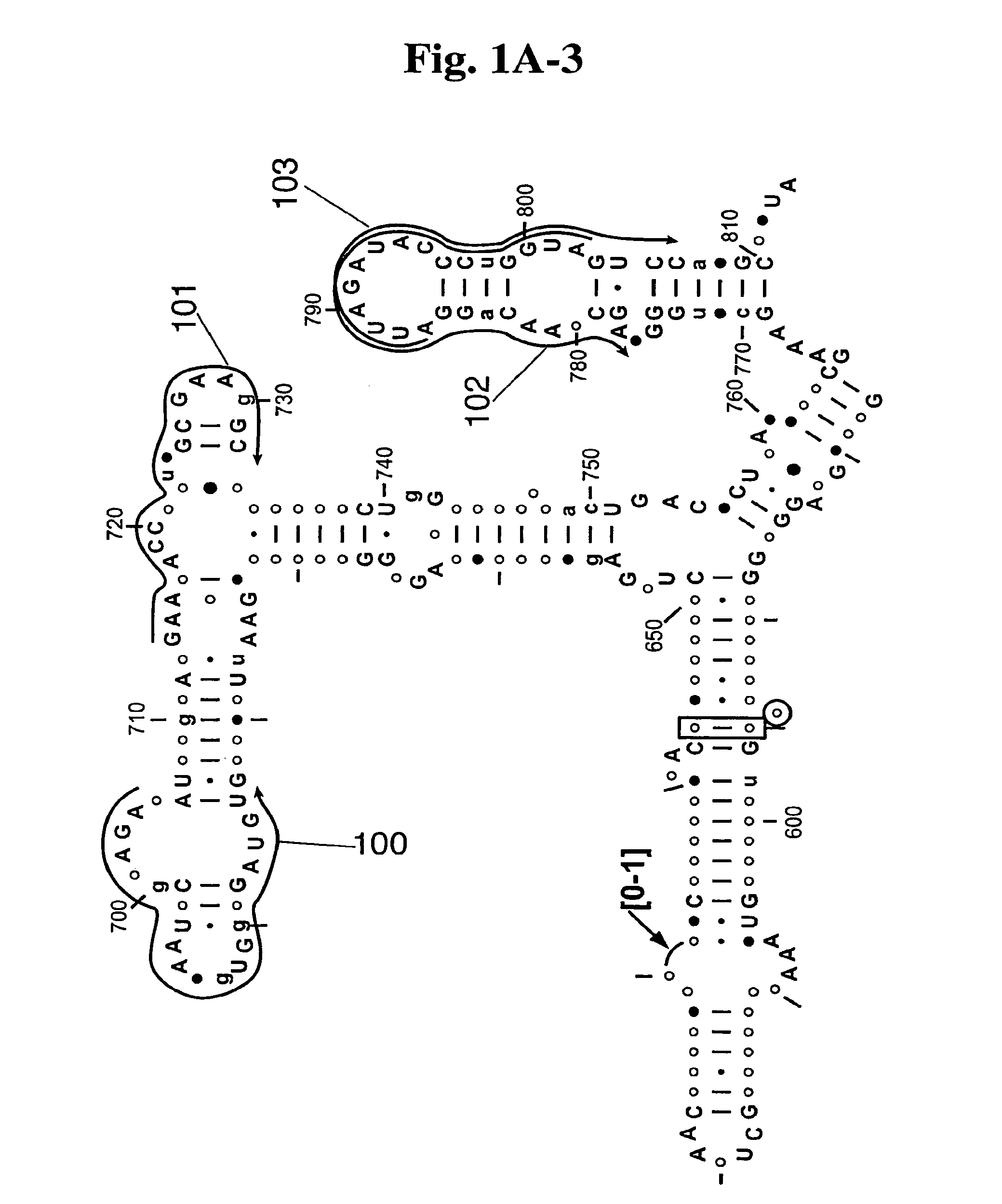 System for indentification of pathogens