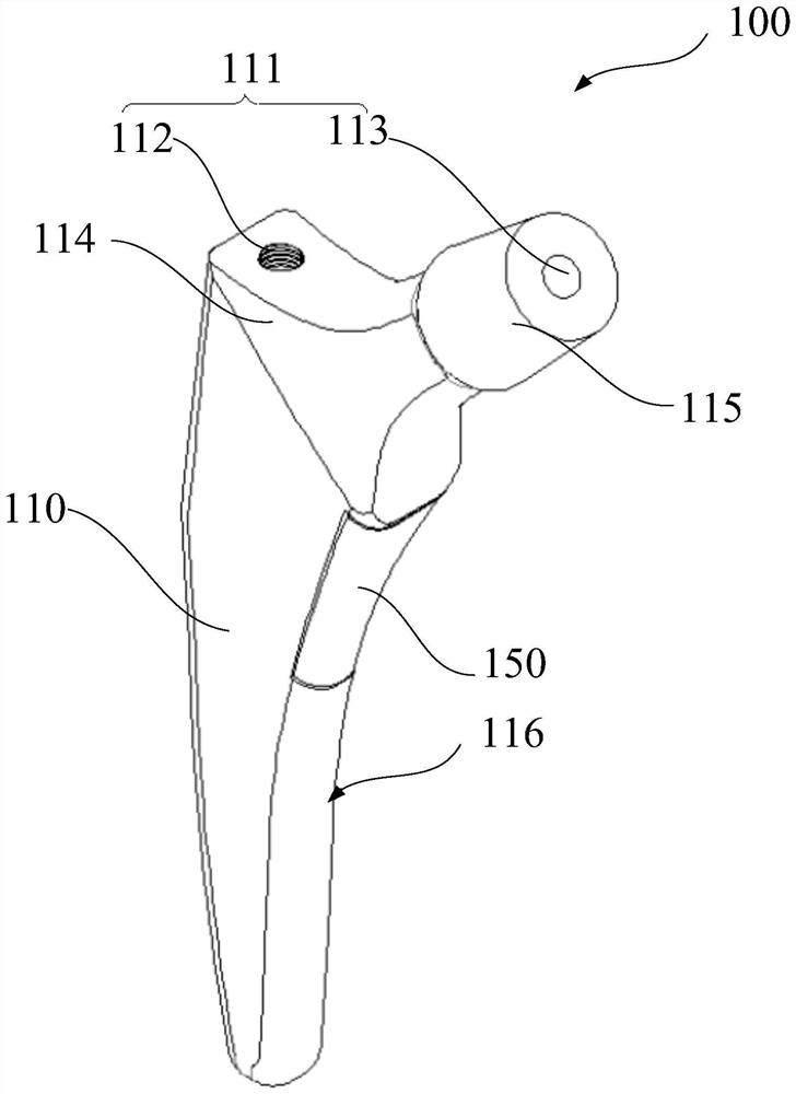 Femoral stem prosthesis and mounting method thereof