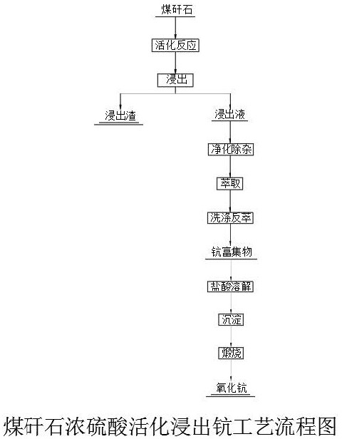 A method for extracting scandium by activated leaching of concentrated sulfuric acid from coal gangue