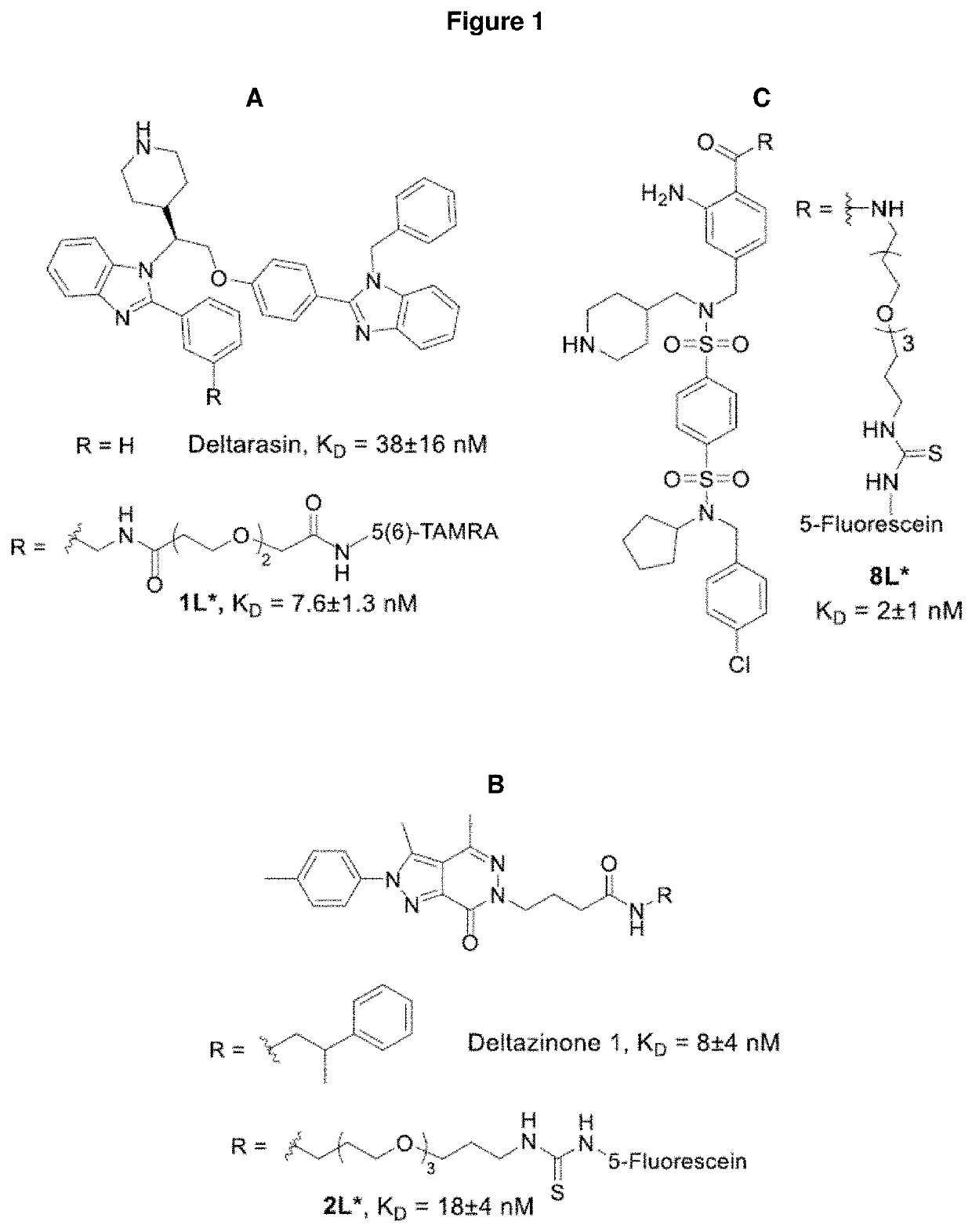 Benzene disulfonamide for the treatment of cancer