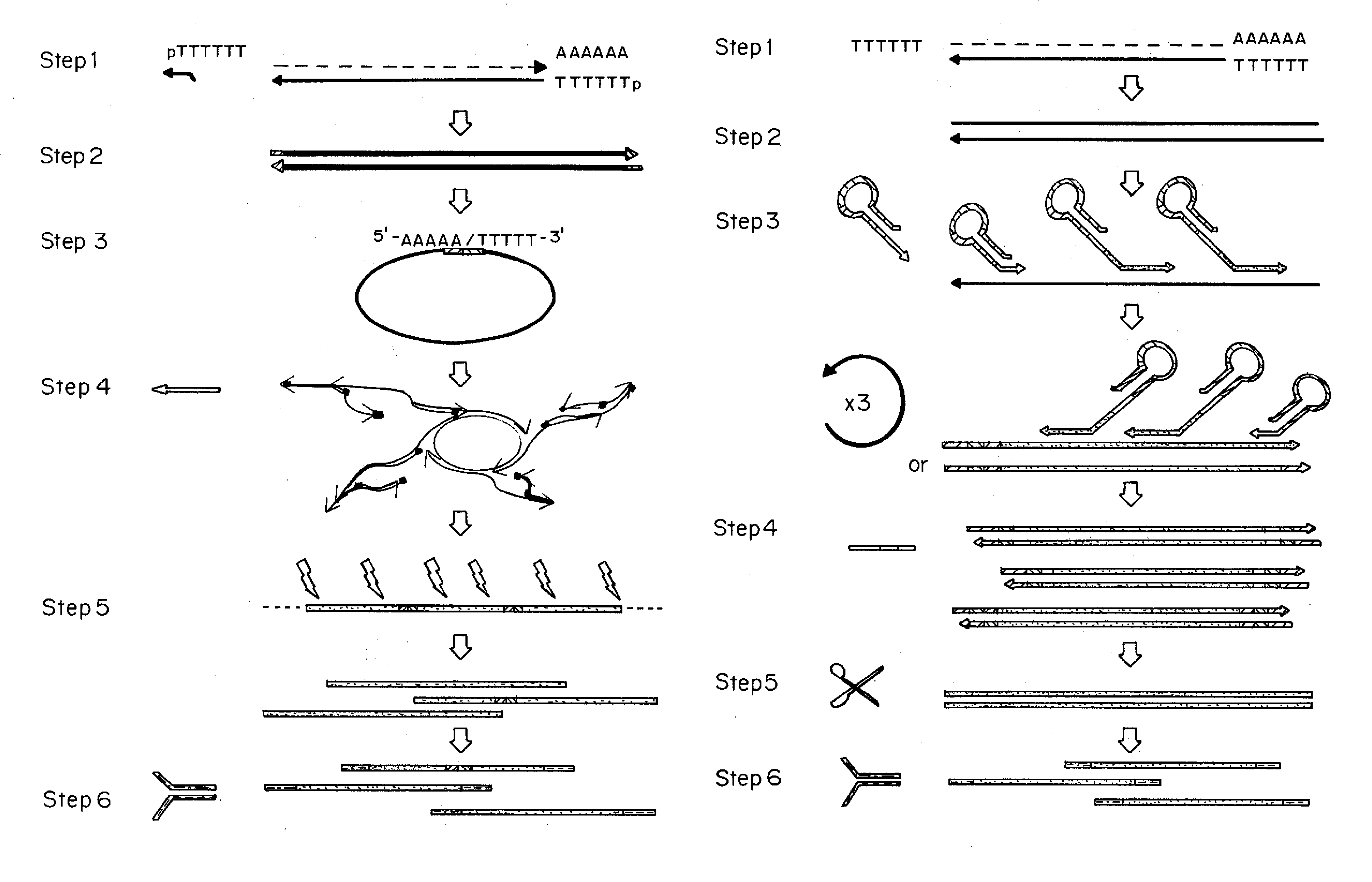 Methods For Preparing cDNA From Low Quantities of Cells