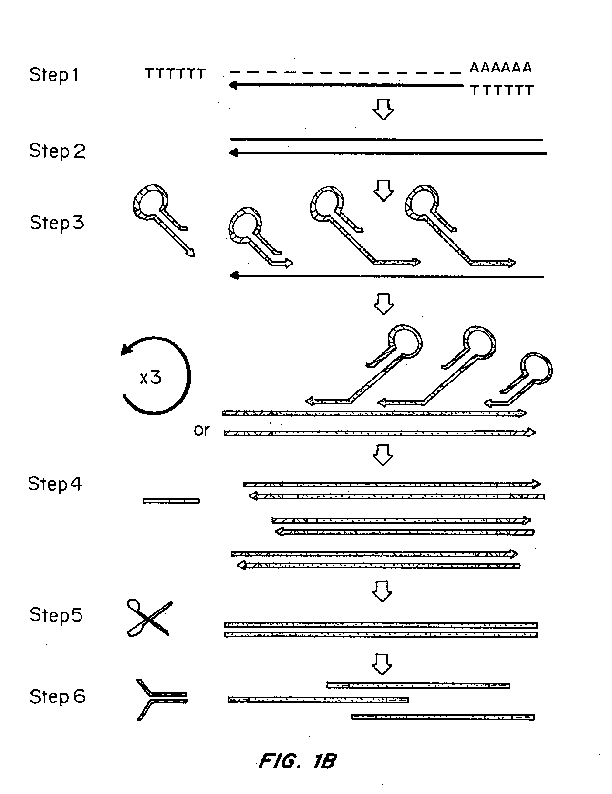 Methods For Preparing cDNA From Low Quantities of Cells
