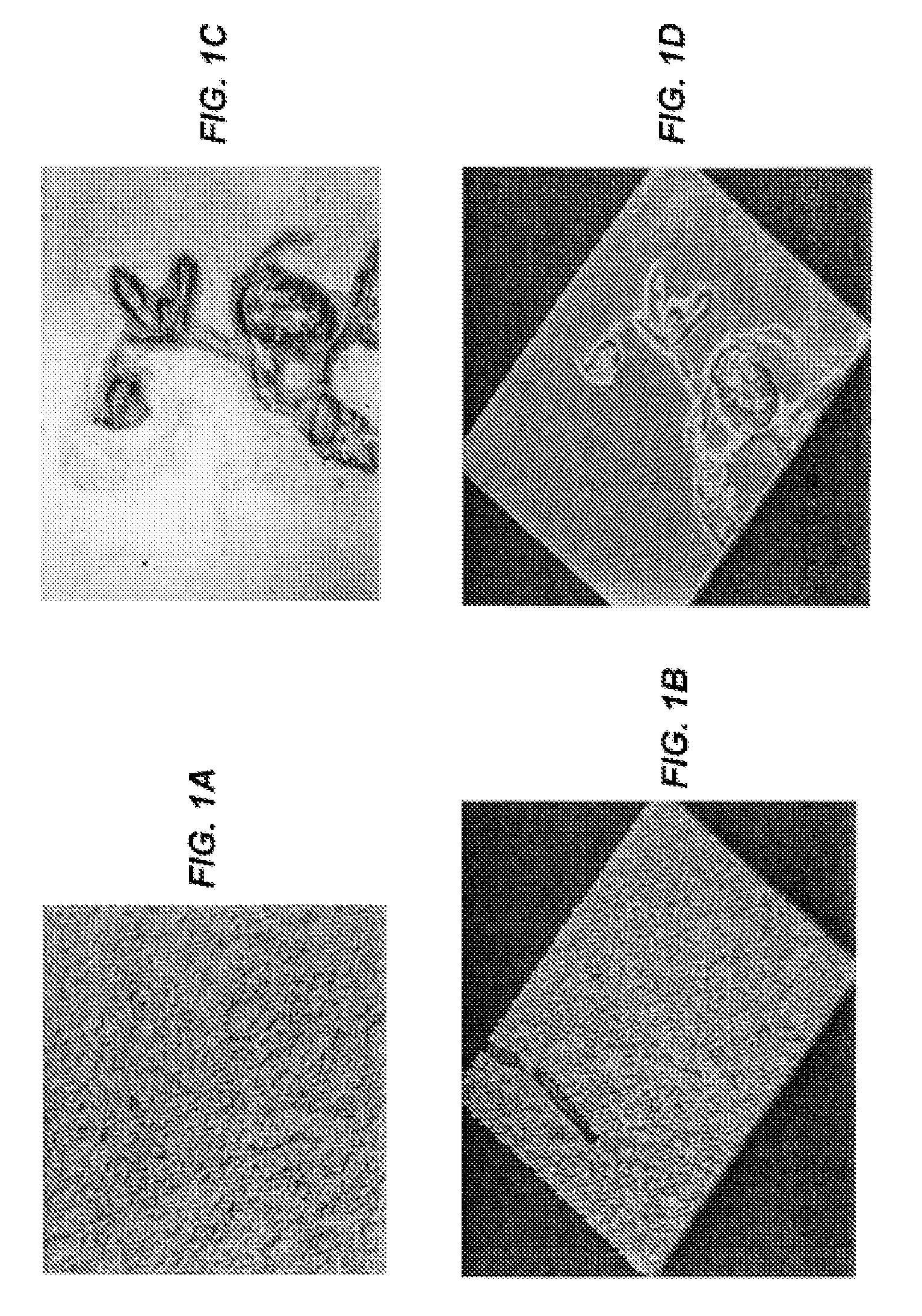 Compositions having a high antiviral efficacy