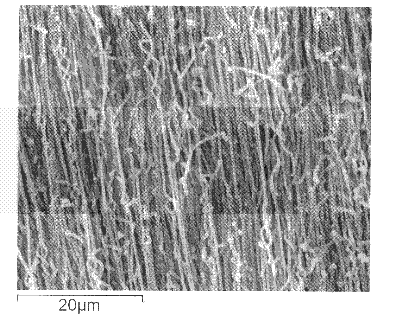 Method for preparing high purity, high density and high yield Si3N4/SiO2 coaxial nano-cable array
