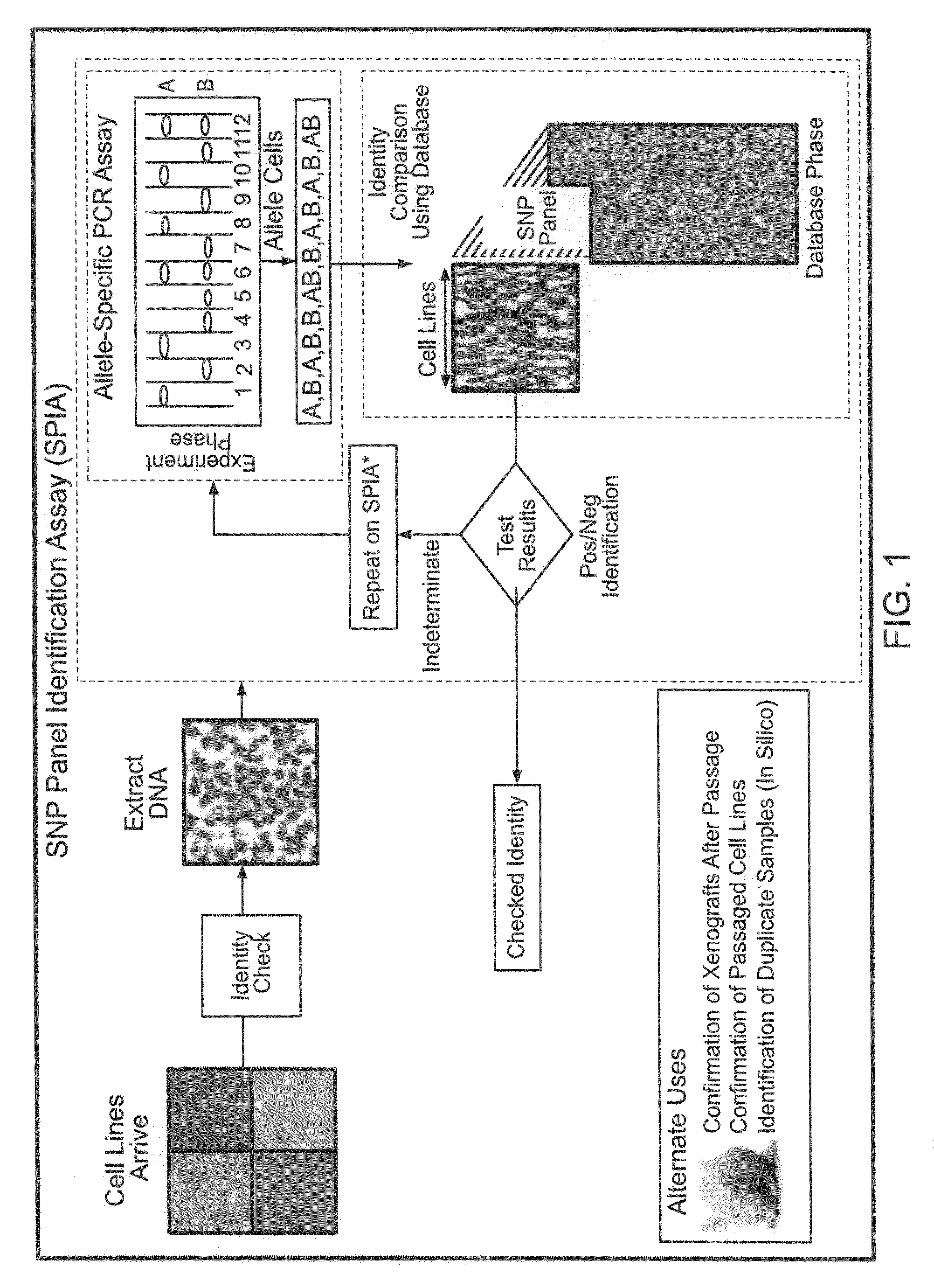 Methods for identifying and using SNP panels