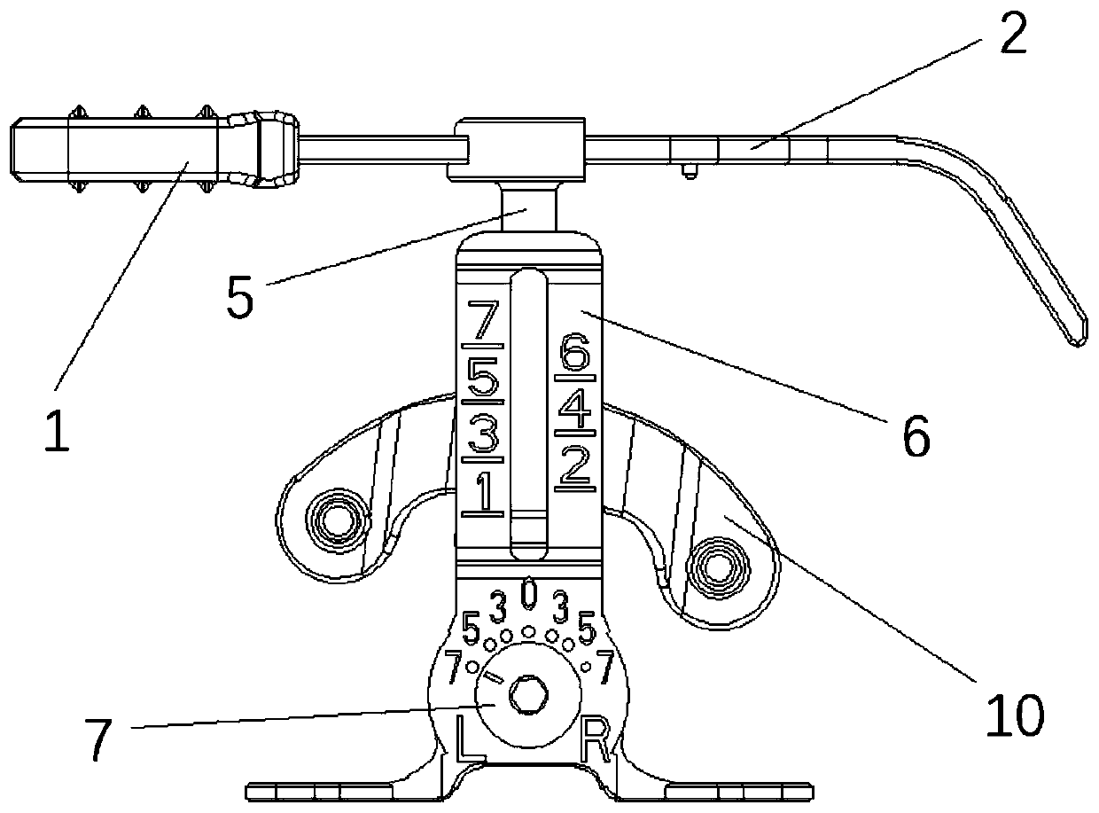 Femur measuring device