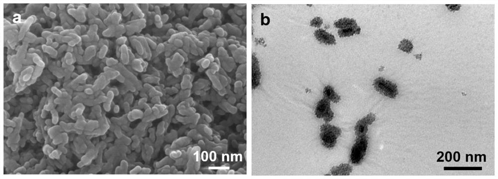 Hydroxyapatite composite material with antibacterial function as well as preparation method and application thereof