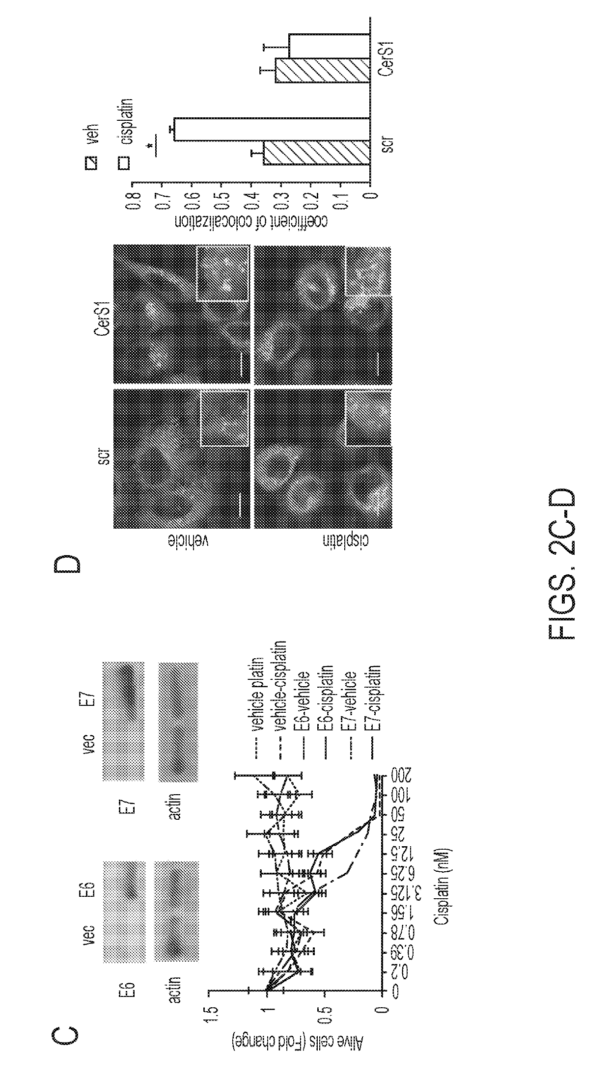 Polypeptides for improved response to Anti-cancer therapy