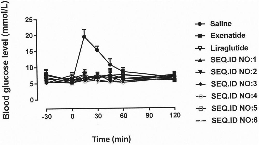 A long-acting hypoglycemic and weight-reducing peptide, its preparation method and application