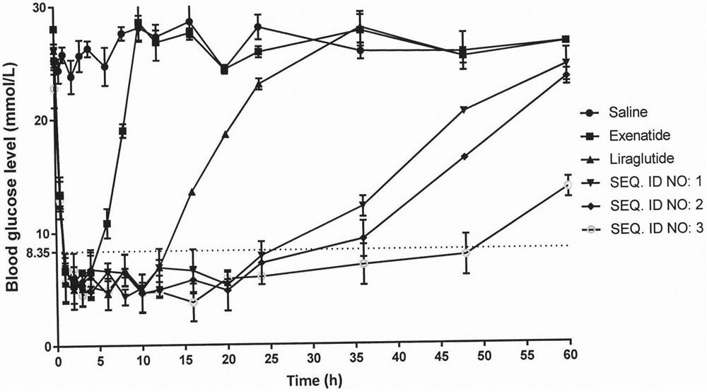 A long-acting hypoglycemic and weight-reducing peptide, its preparation method and application