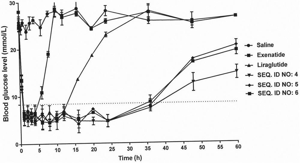 A long-acting hypoglycemic and weight-reducing peptide, its preparation method and application