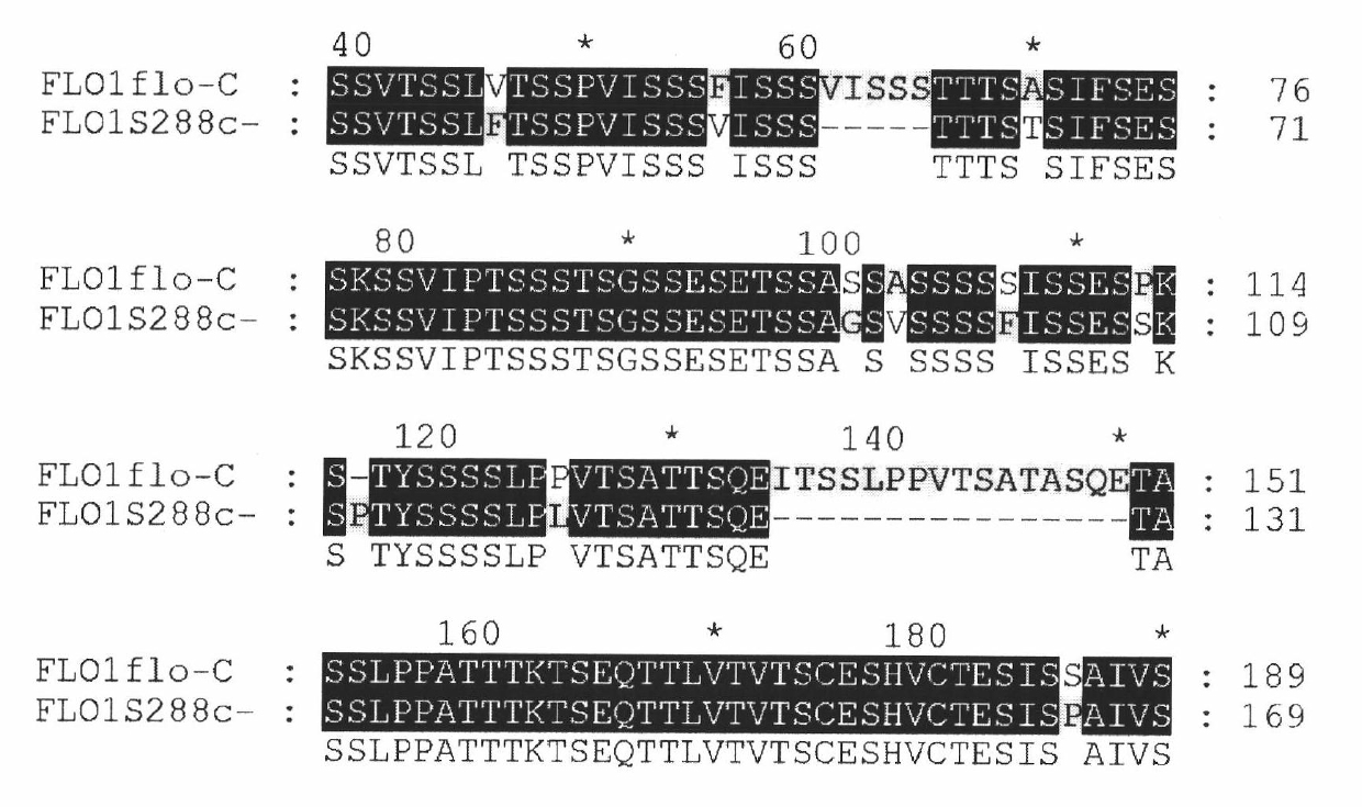 Flocculation gene of flocculating yeast and expression product and ...