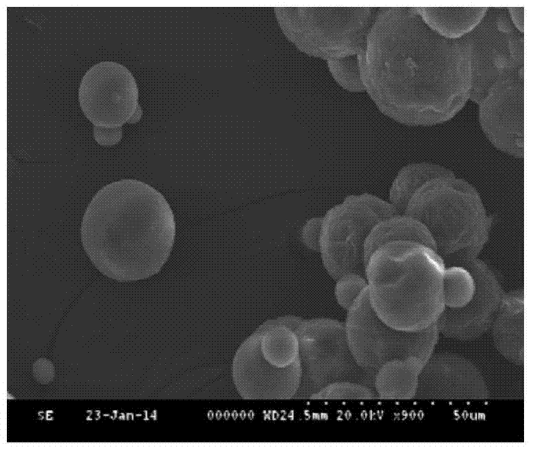 Gastrodin nasal starch microspheres with bioadhesive properties and preparation method thereof