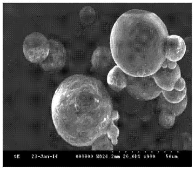 Gastrodin nasal starch microspheres with bioadhesive properties and preparation method thereof