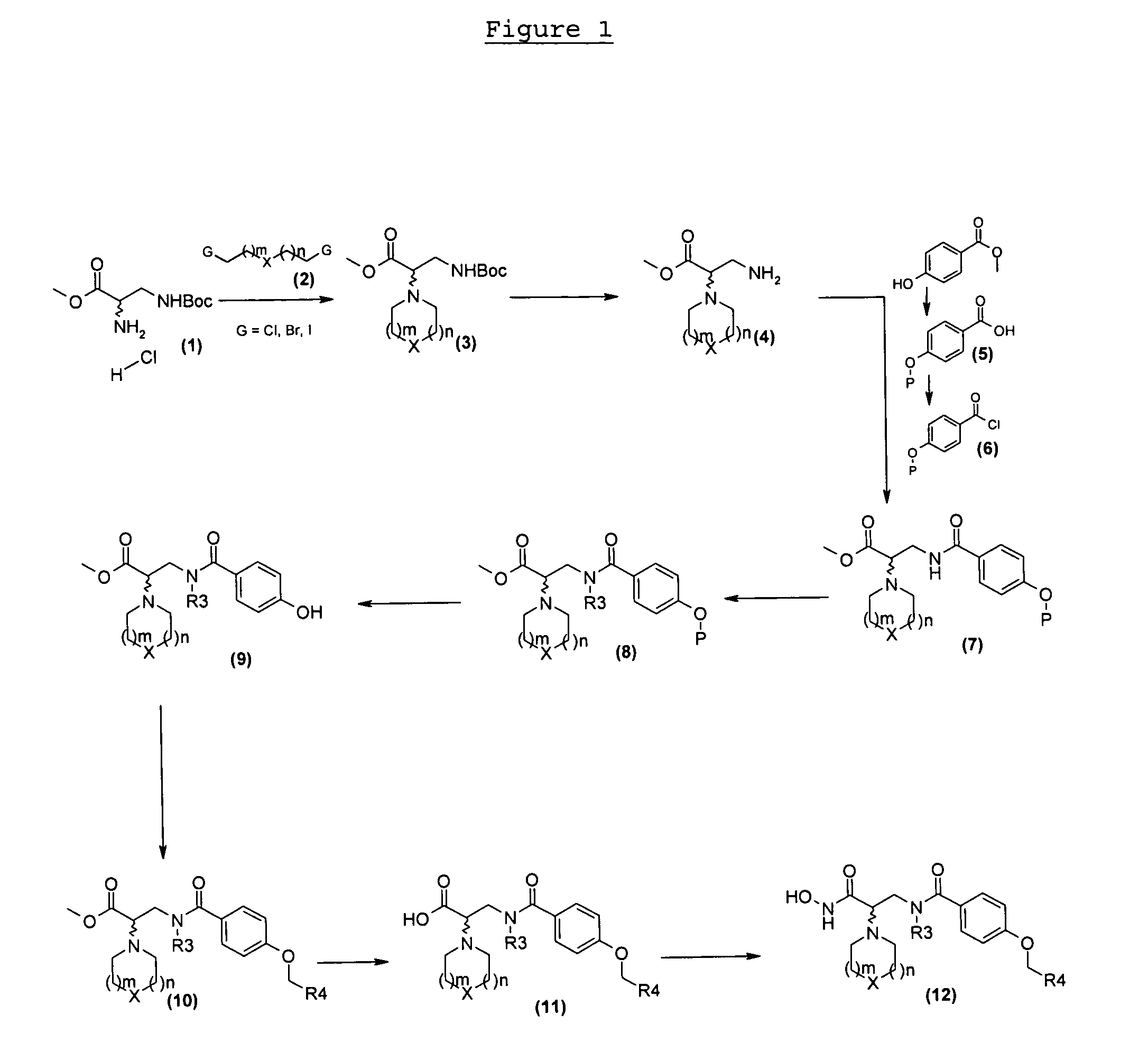 4-alkoxy-n- (2-hydroxycarbamoyl-2-piperidinyl-ethyl) -benzamide compounds as selective tace-inhibitors for the treatment of inflammatory diseases