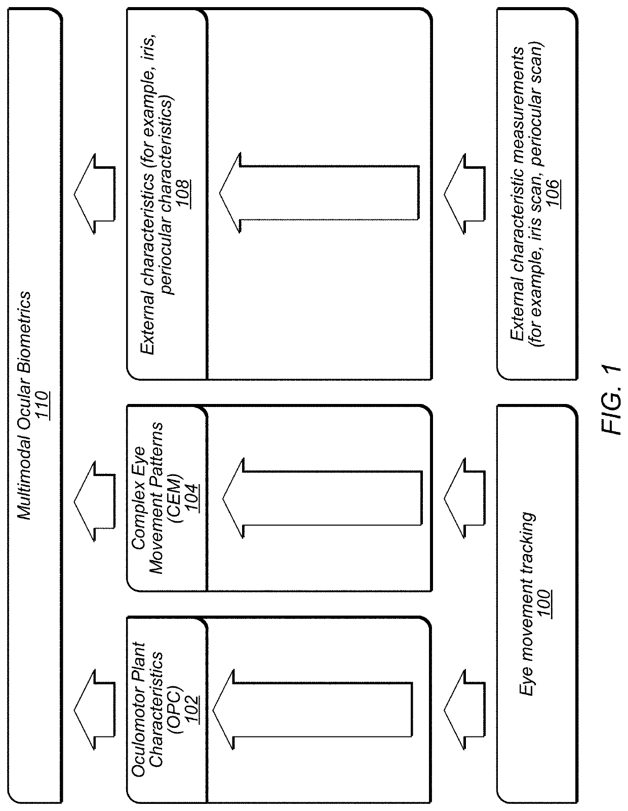 Health assessment via eye movement biometrics