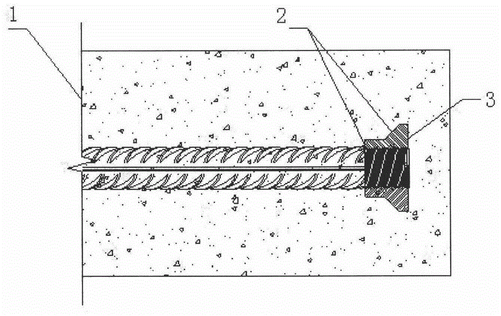 Anchoring device for taper sleeve-locking reinforcements and anchoring method thereof