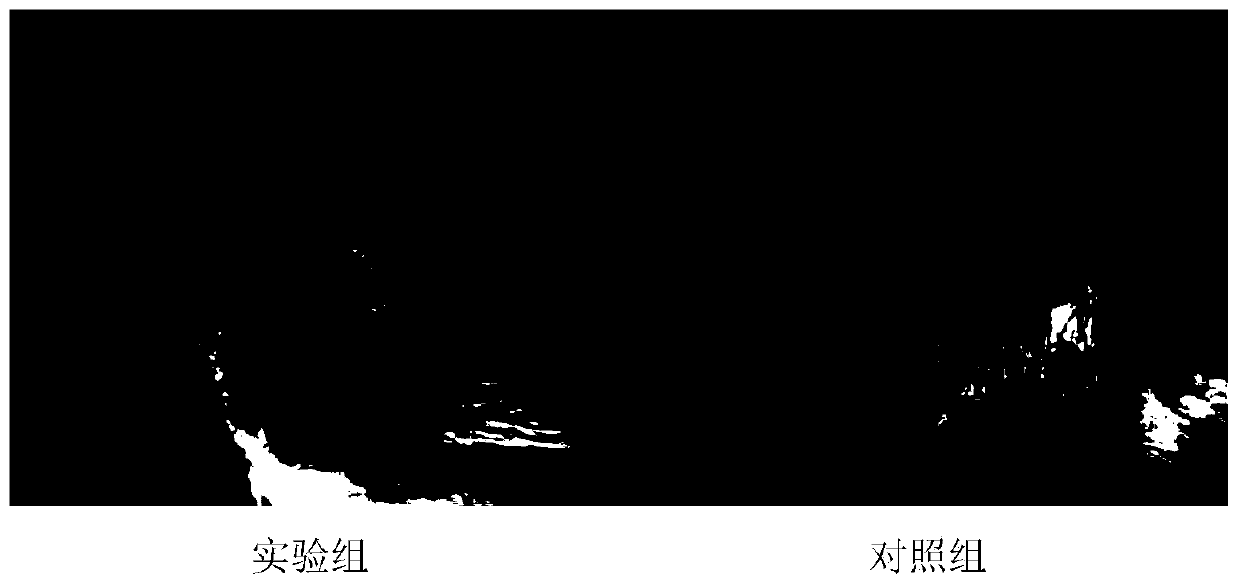 Pharmaceutical composition for treating oral mucosa diseases, preparing method and application