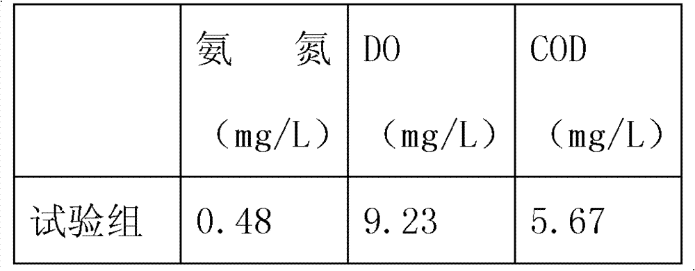 Controlled release microecological preparation for water quality improvement and preparation method thereof