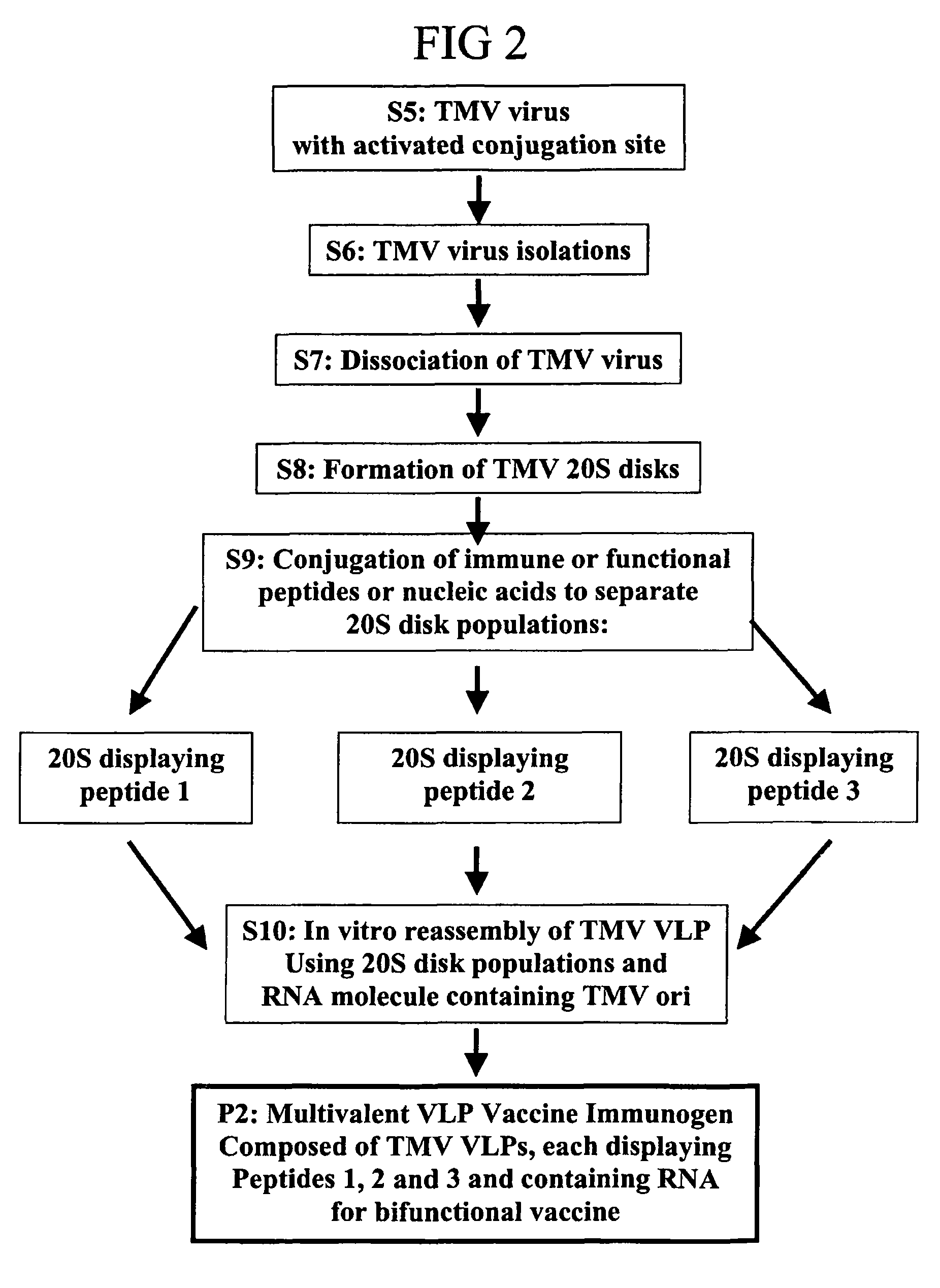 Flexible vaccine assembly and vaccine delivery platform