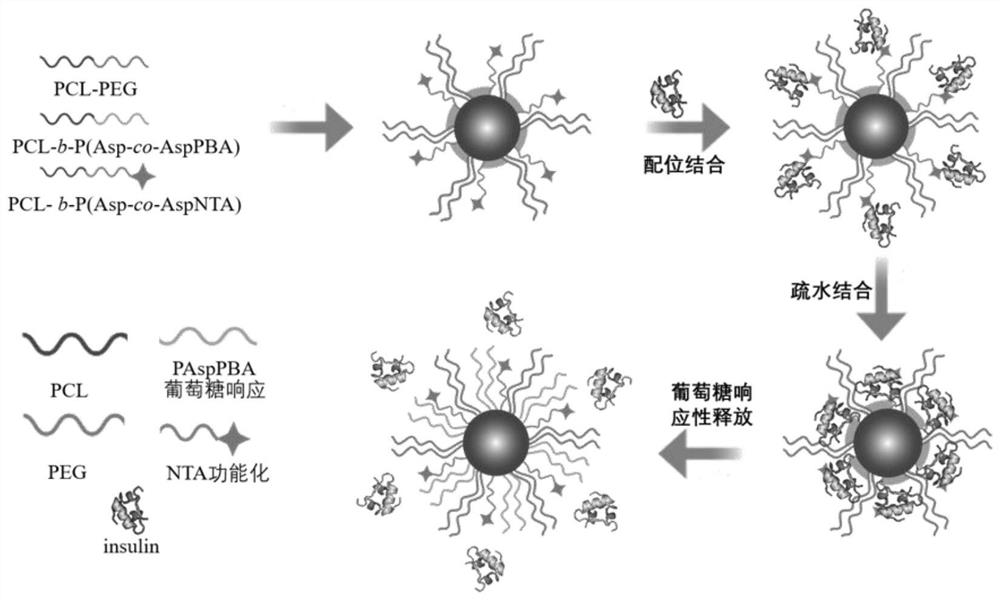 Preparation of sugar-responsive functionalized nano-composite micelle and application of sugar-responsive functionalized nano-composite micelle in insulin delivery