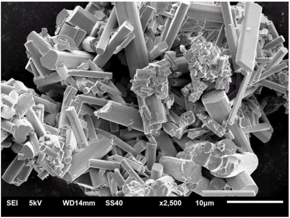 Dysprosium ion doped barium tantalum tungstate and preparation method and application thereof