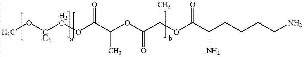 Excipient-free lyophilized paclitaxel powder preparation and preparation method thereof