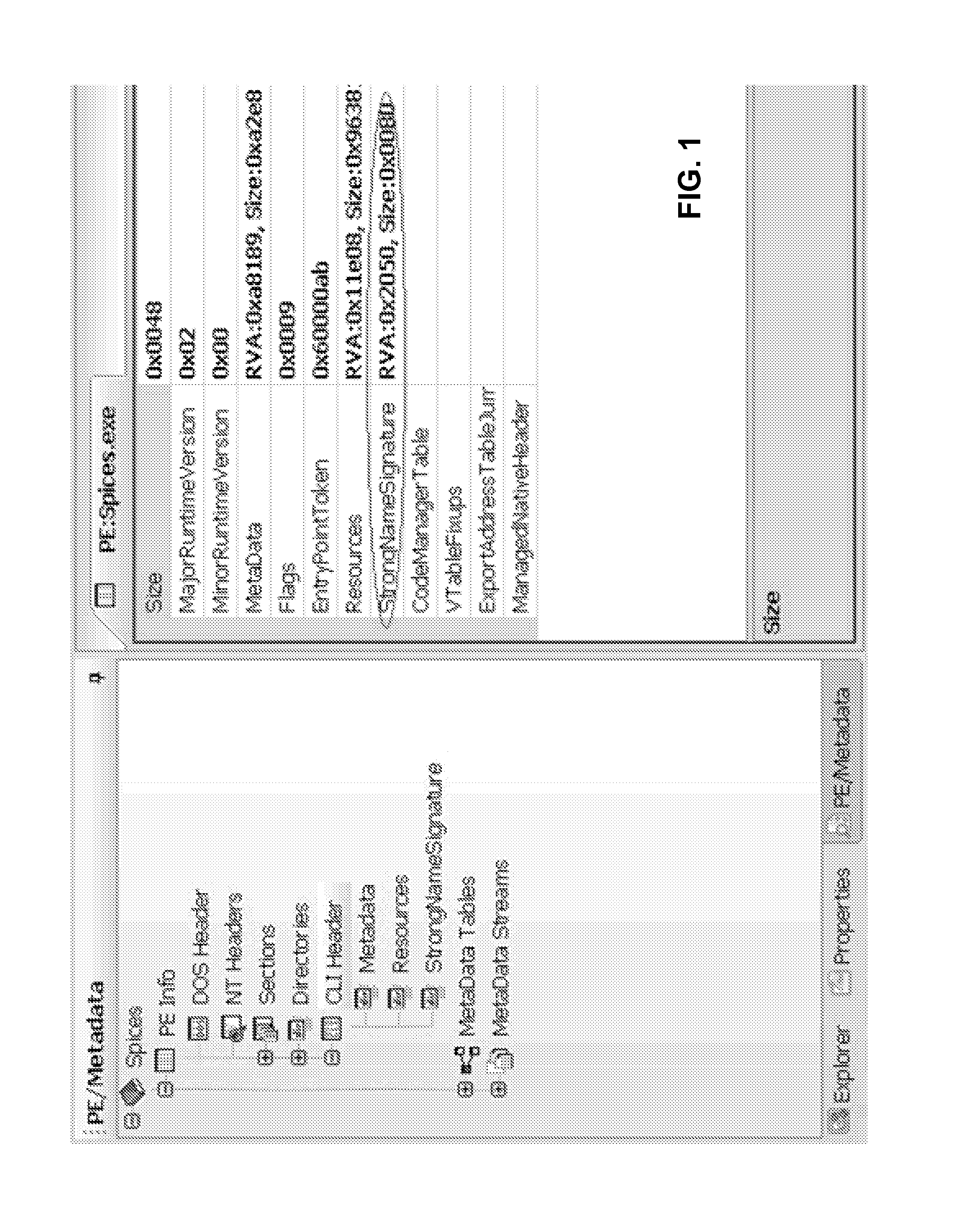 System and method for tamper-proofing executable binary assemblies