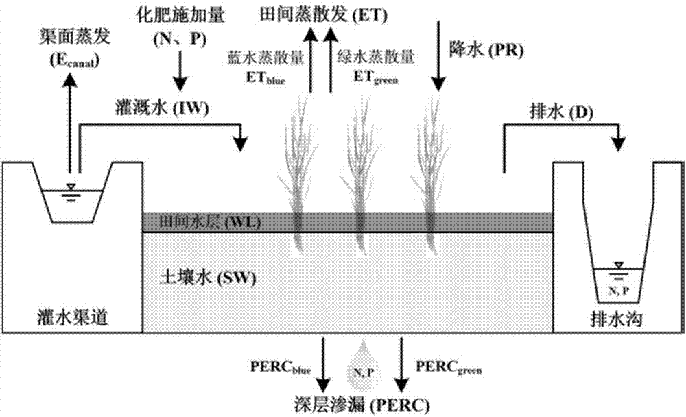 Method for calculating crops production water footprint based on field water and fertilizer utilization process