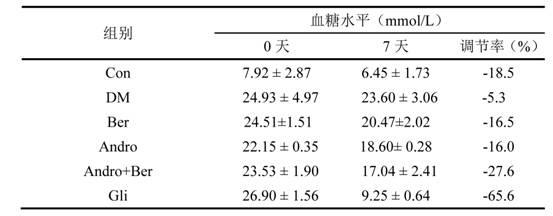 Andrographolide and berberine combination and application thereof