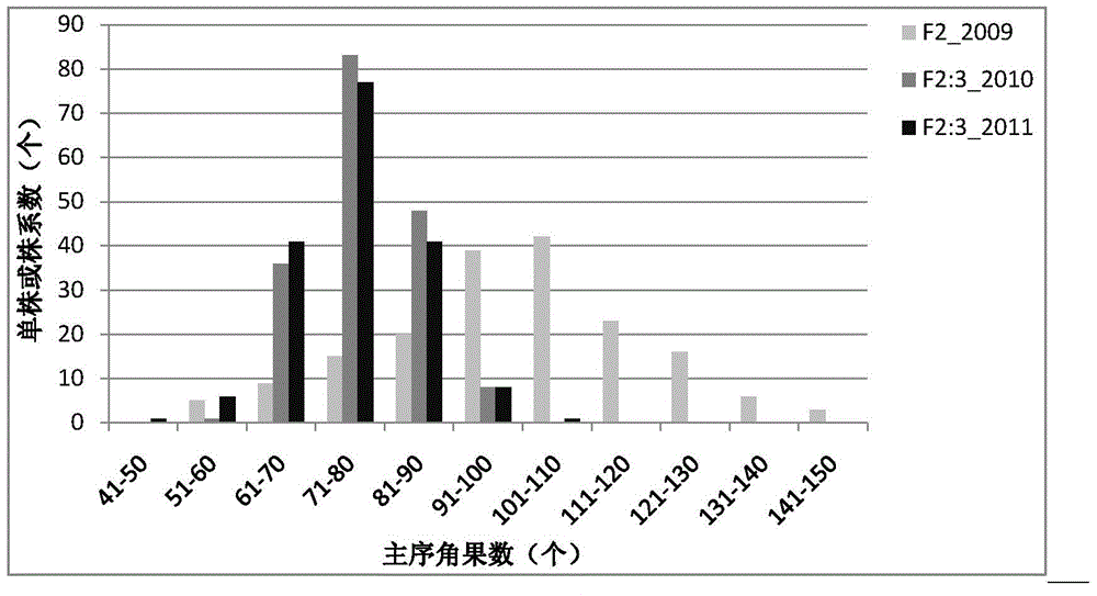 Rapeseed pod number major QTL molecular marker and application thereof