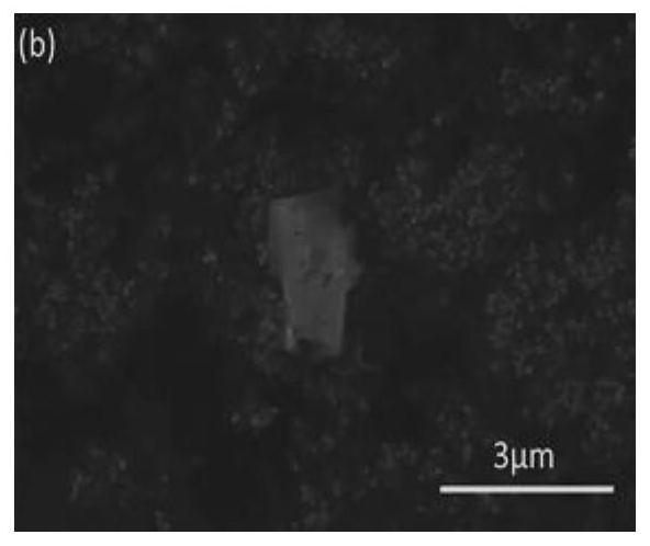 Method for detecting non-metallic inclusions in steel